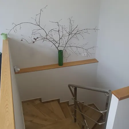 Buen Camino * 투이