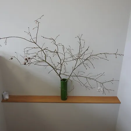 Buen Camino 호스텔 투이