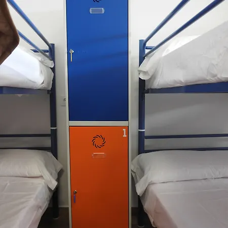 Buen Camino * 투이